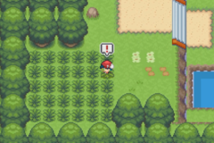pokemon light platinum cobalion
